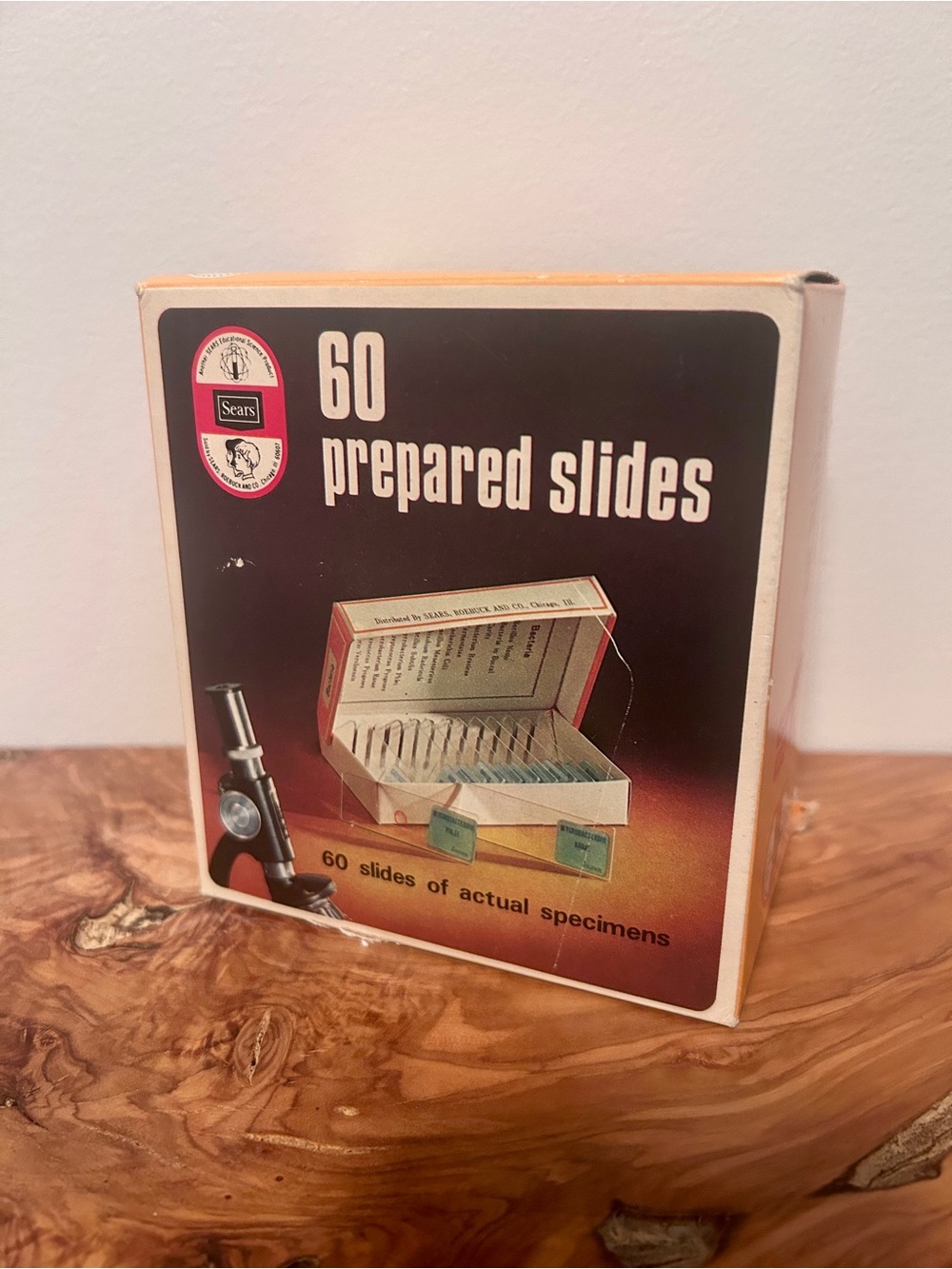 Sears 60 Prepared Slides Vintage Science Set / Educational Material
